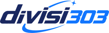 divisi303